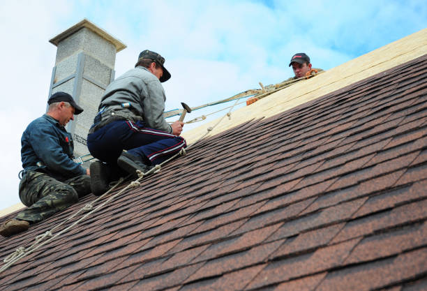 Best New Roof Installation  in Salt Lake City, UT